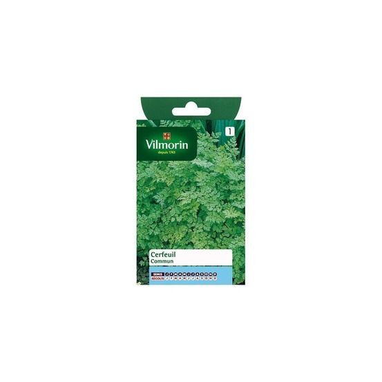 Sachet graines cerfeuil commun