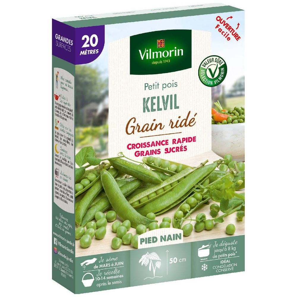 Graines de pois nain à grain ridé kelvil - 20 mètres