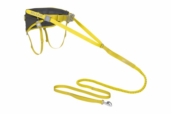 Système de course alimenté par un chien Omnijore™ avec harnais, ceinture de hanche et ligne de traction. Lichen Green (Jaune), M
