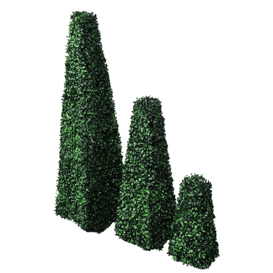 LOT DE 3 TOPIAIRES PYRAMIDALES-(869035)
