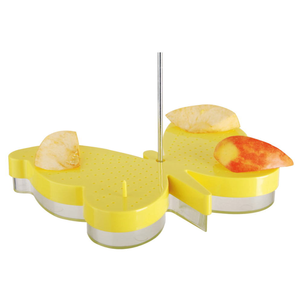 Mangeoire pour papillons