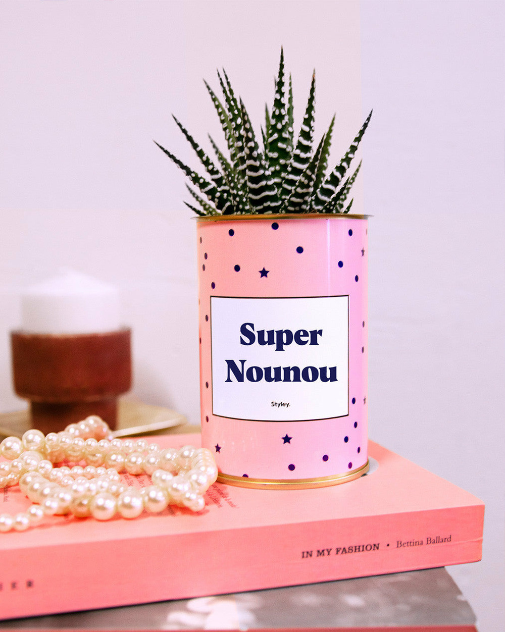 Idée cadeau - super nounou - cactus