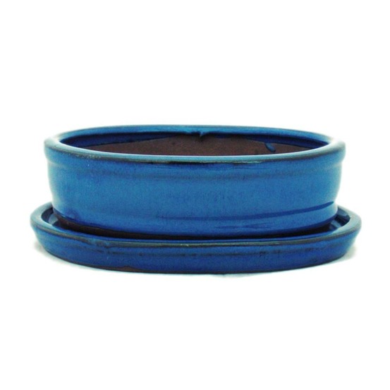 Bol bonsaï avec soucoupe taille 2 - bleu - ovale - modèle o7 - l 15,5cm - b 12cm - h 4,5cm