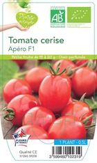 Tomate cerise apéro f1 -plant ab en  pot 0.5 l-plante du jardin