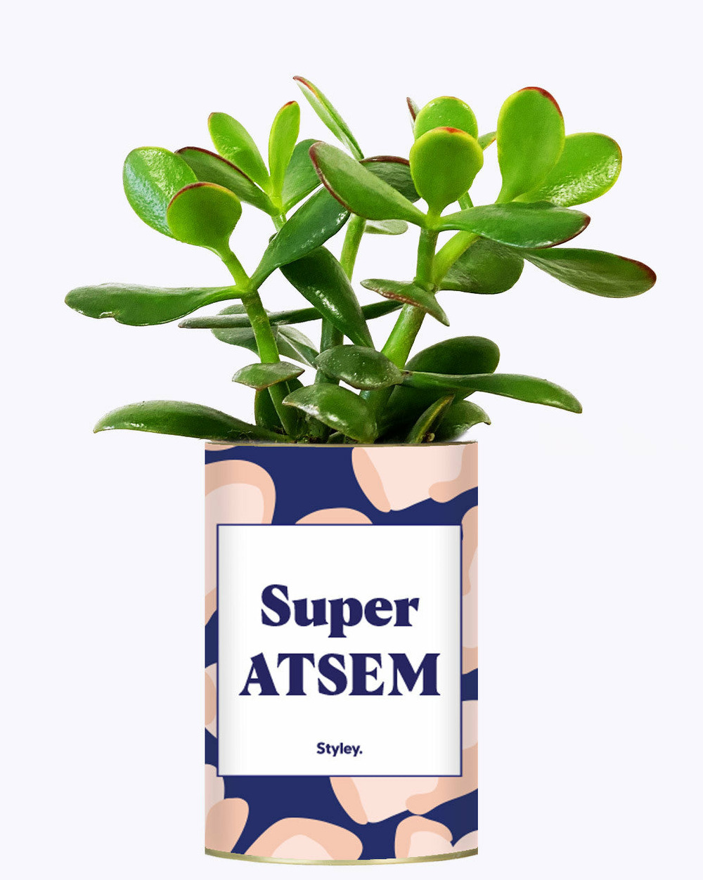 Idée cadeau - super atsem - cactus