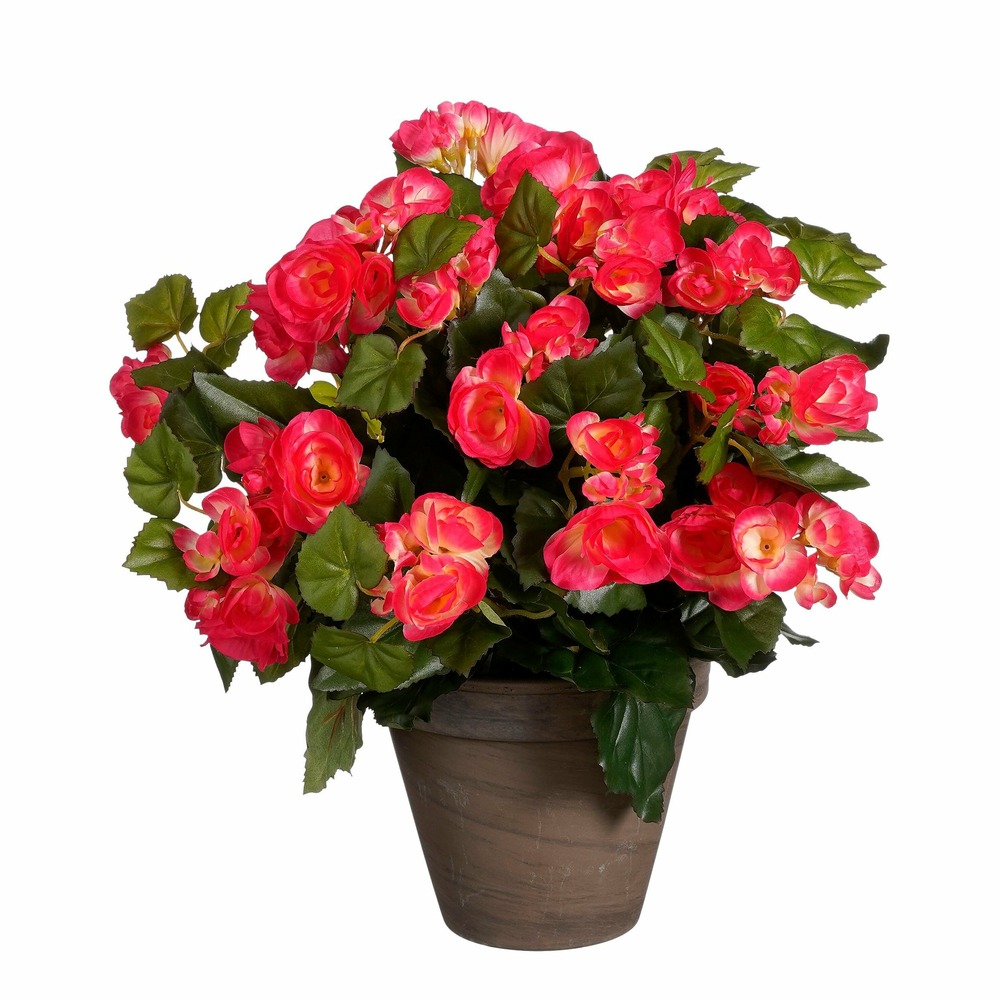 Mica decorations plante artificielle bégonia - h37 cm - rose foncé