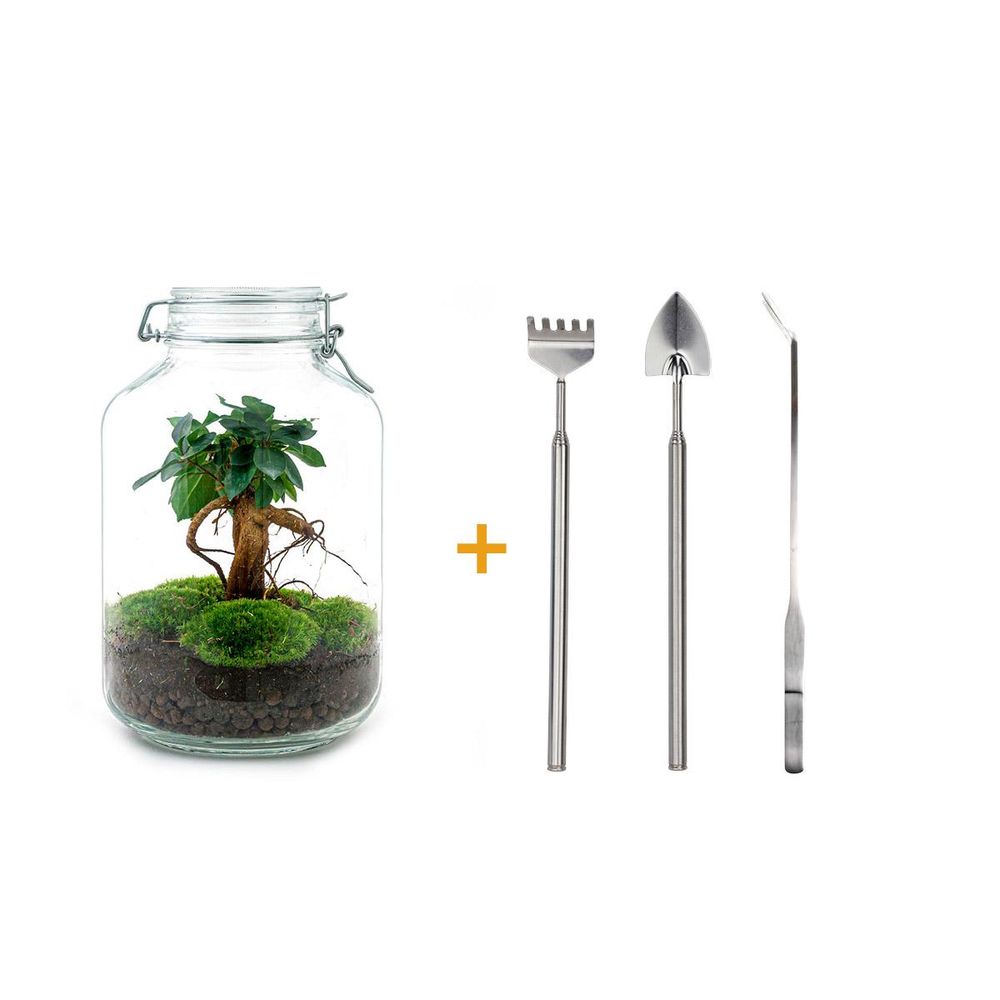 Terrarium à composer bouteille en verre recyclé - ø18-h28cm - avec râteau, pelle et pince - terrarium diy
