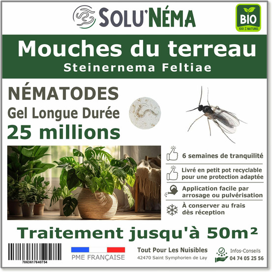 Solunéma - Nématodes - Mouches du Terreau 25 Millions Steinernema Feltiae (SF)