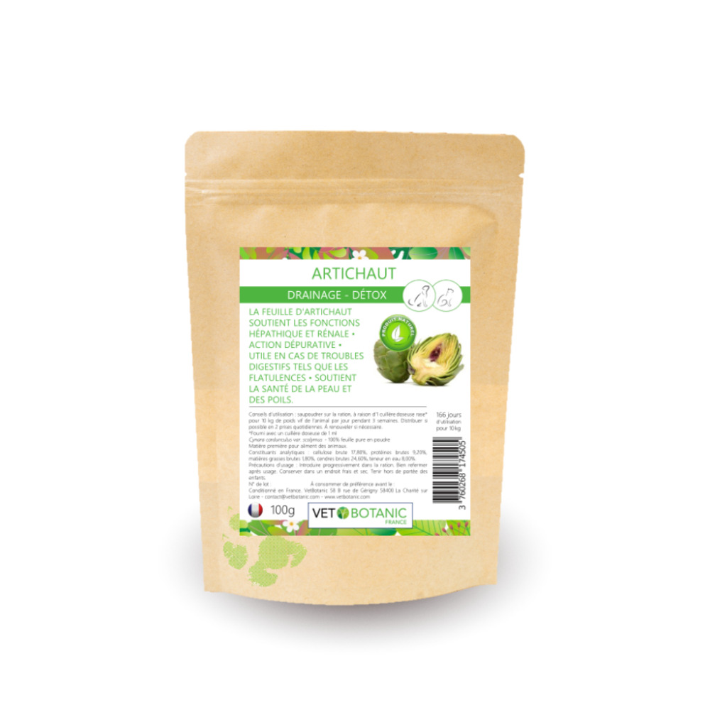 Artichaut plante pure en poudre - drainage detox chiens et chats