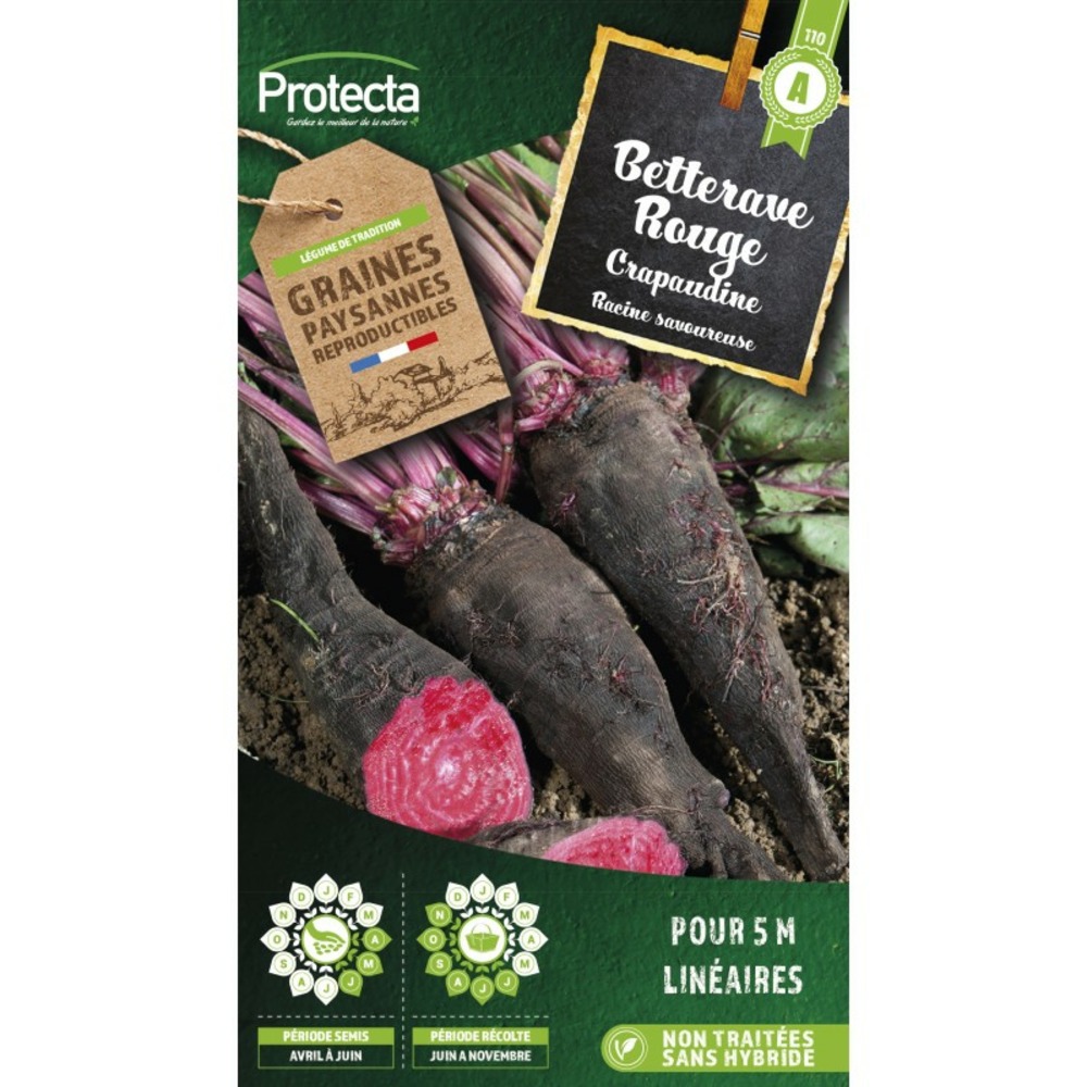 Graines paysannes - betterave crapaudine