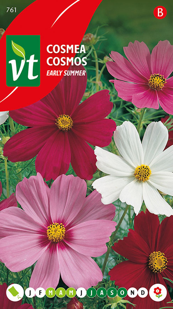 Cosmos early summer varie - ca. 1 gr (livraison gratuite)
