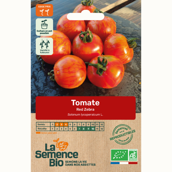 Tomate red zebra - graines bio