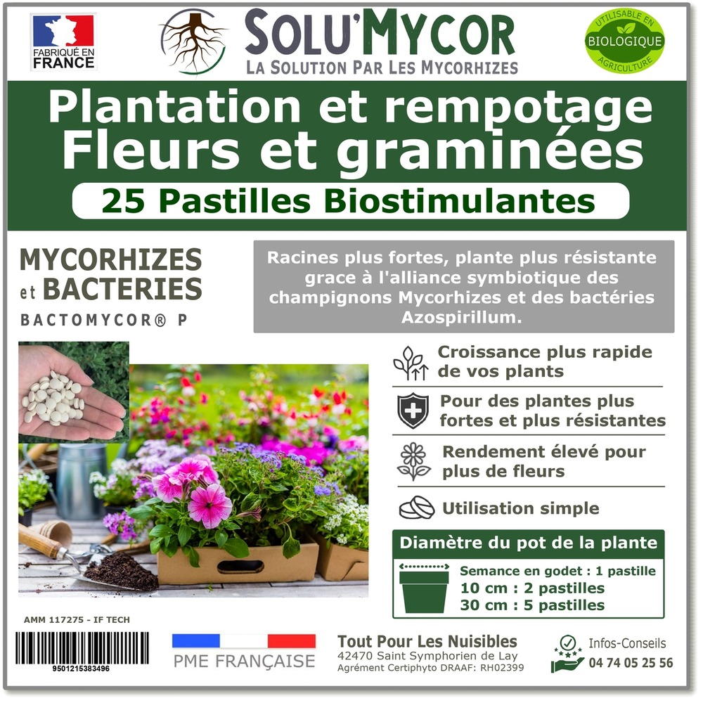 Solumycor 25 pastilles biostimulantes fleurs et graminees semis plantation developpement racinaire