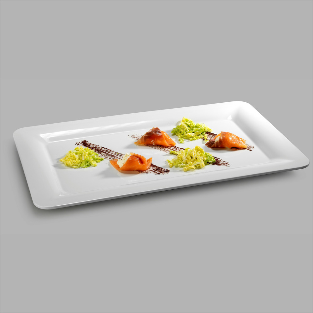 Assiette en mélamine gastronorme l 32,5 à 53 cm - pujadas