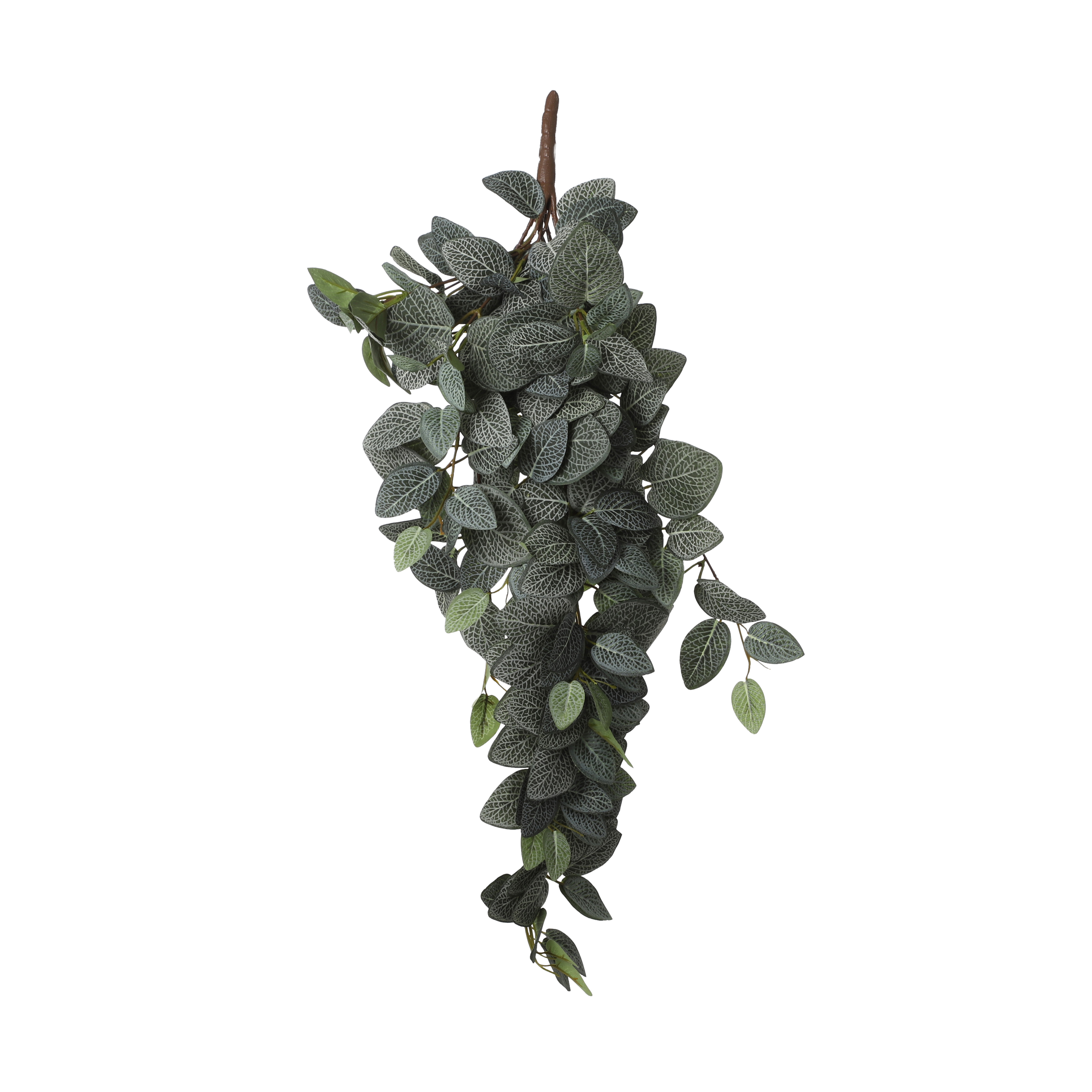 Mica decorations - fittonia artificielle vert h54