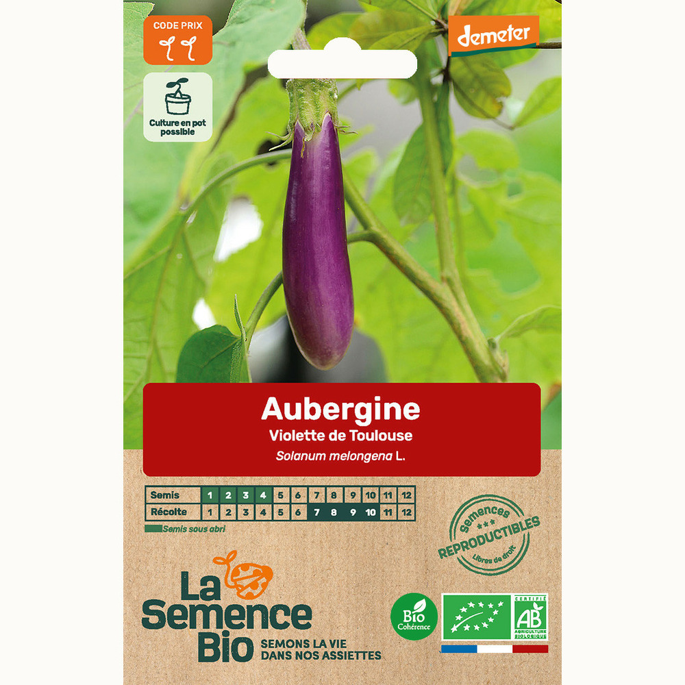 Aubergine violette de toulouse - graines bio