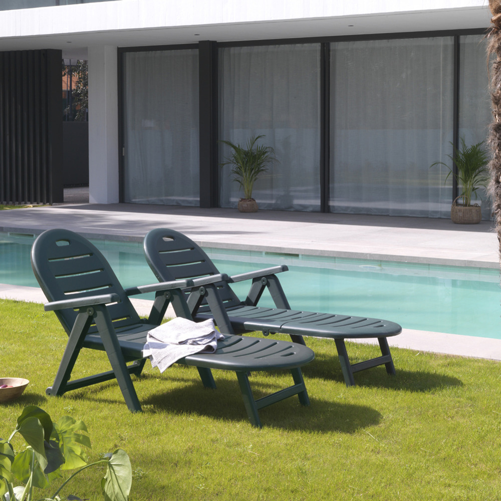 Lot 2 bains de soleil vert caiman