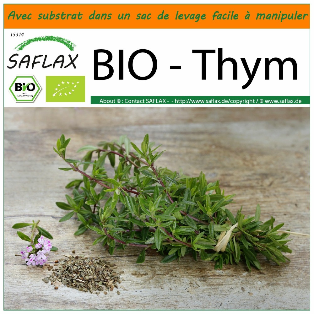 Garden in the bag - bio - thym - 800 graines - thymus vulgaris
