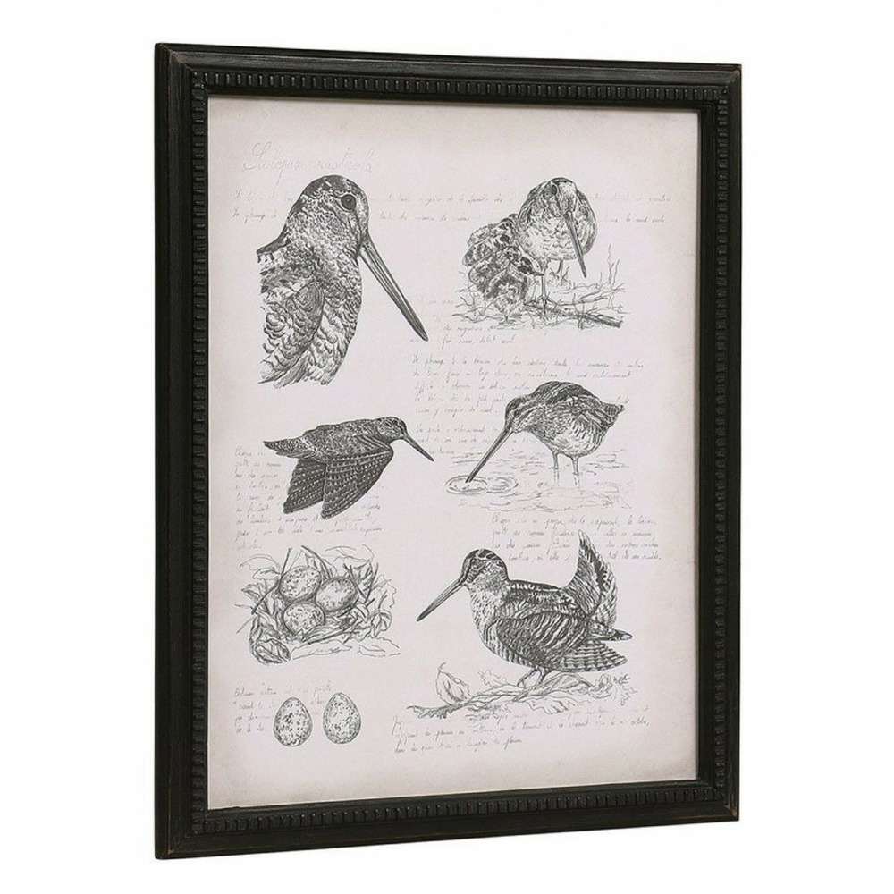 Gravure bécasse bois noir - chic interior's