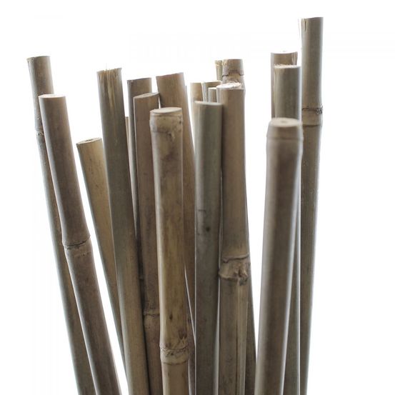 Tuteurs bambou 90 cm