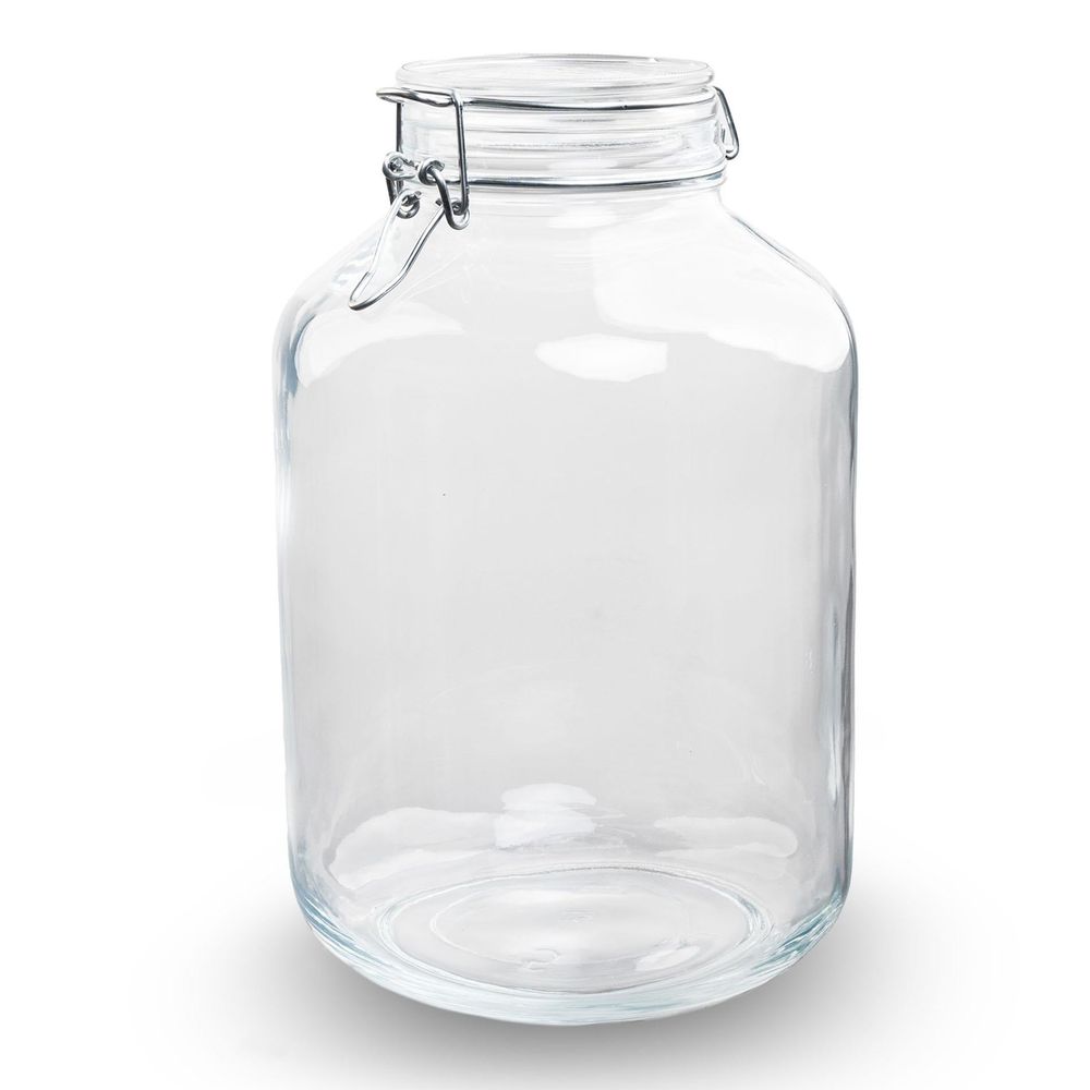 Grand bocal en verre 5 l pour terrarium, type bocal à conserve, hauteur 28 cm - terrarium diy