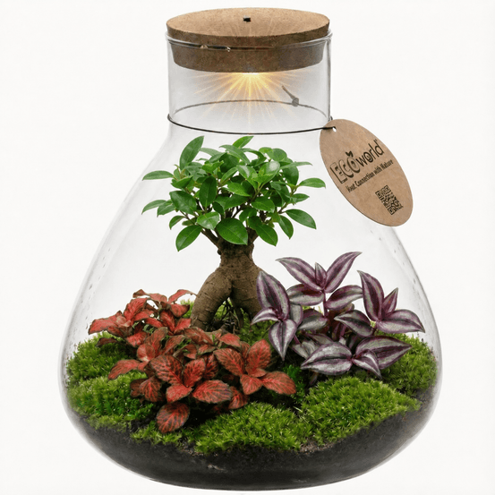 Terrarium diy - écosystème autonome