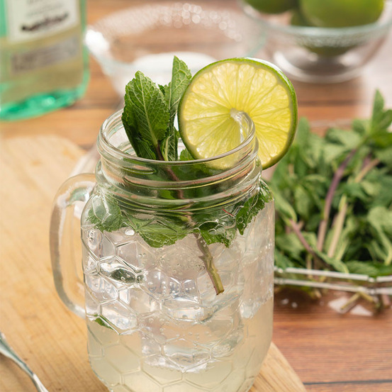 Plant menthe mojito premium en pot 1,5l