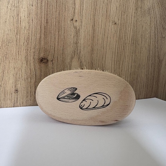 Brosse pour coquillage