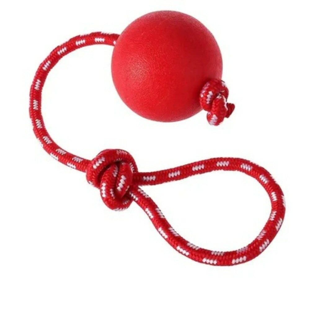 Ballon gonflable en cuir veritable avec poignee 12cm pour chien, francecroquettes
