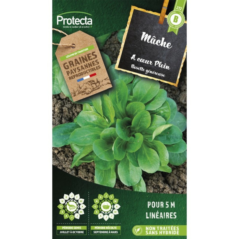 Graines paysannes - mâche verte à coeur plein 2