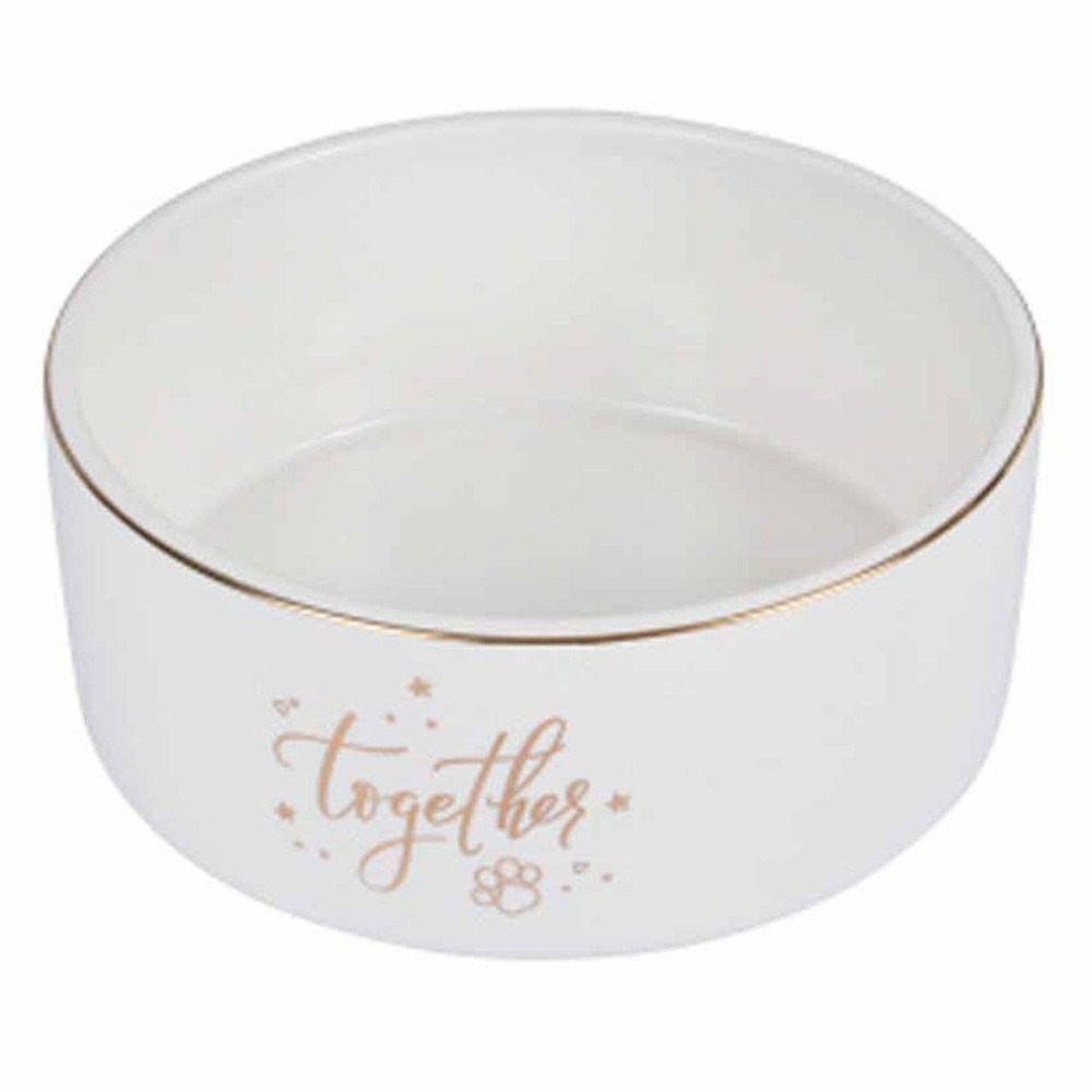 Gamelle pour chien & chat 