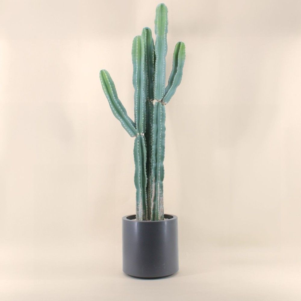 Cactus erytréa artificiel 167cm