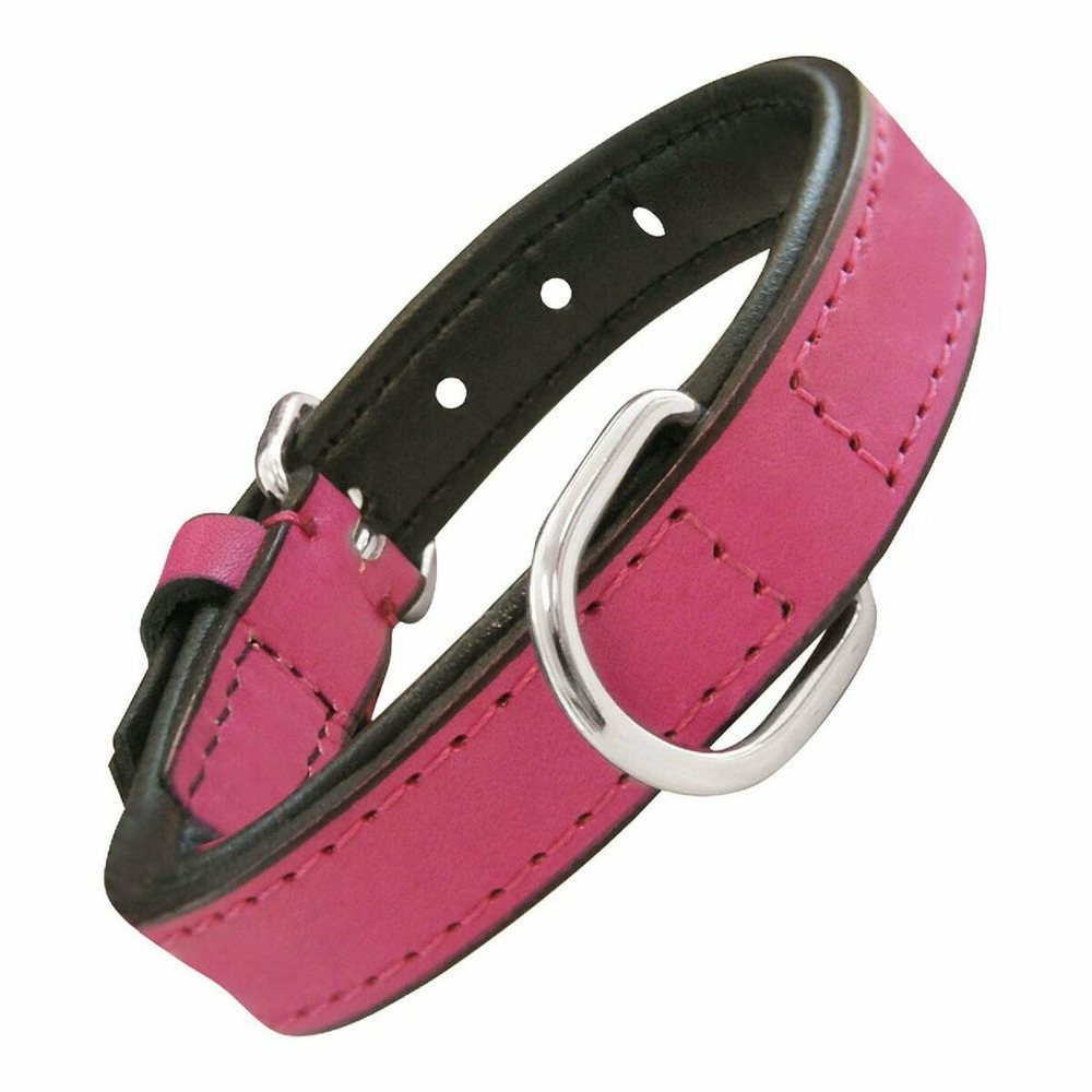 Collier pour chien gloria rembourré fuchsia (45 x 2 cm)