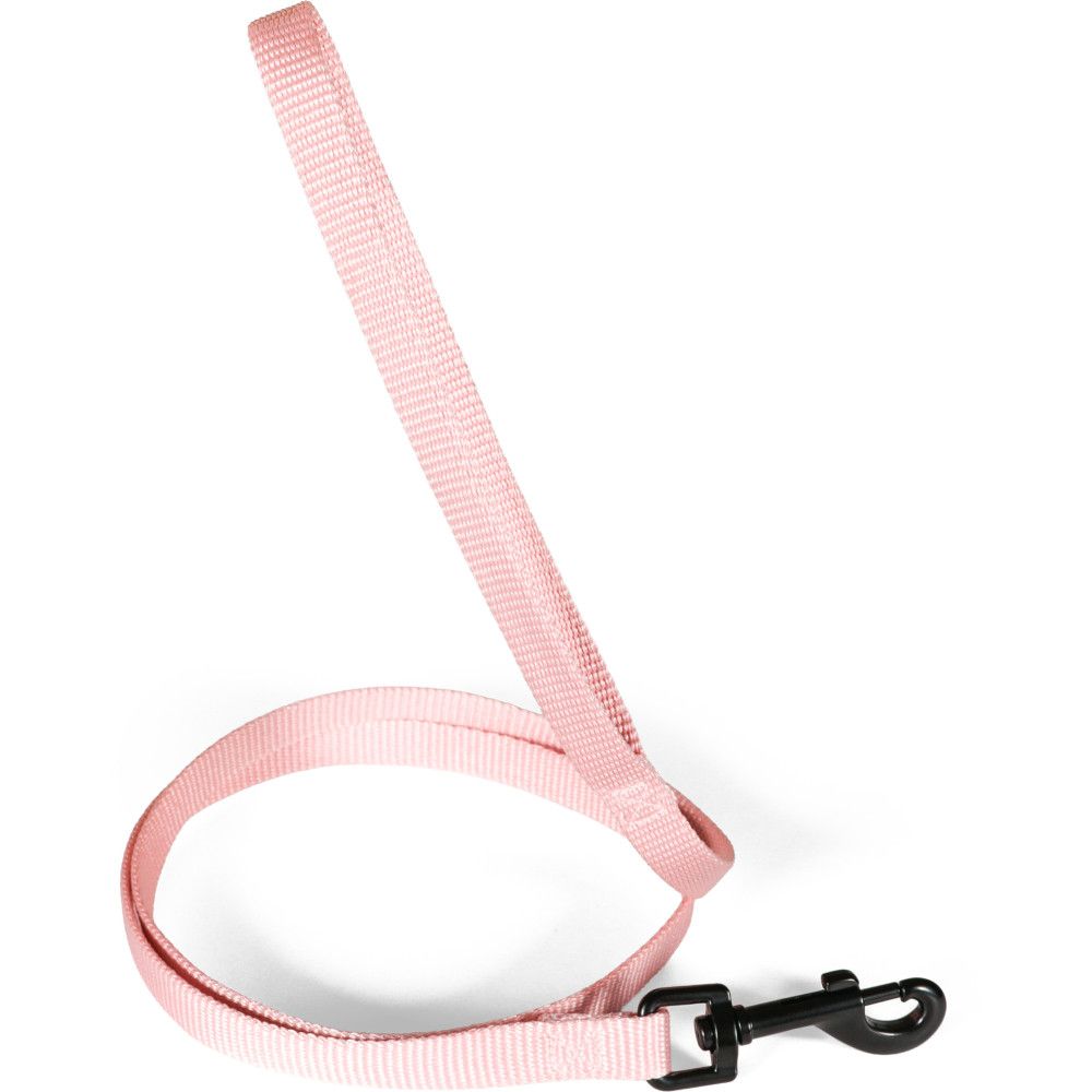 Laisse pour chien en nylon recyclé, sangle 15 mm, longueur 1,20 m - zolux (
