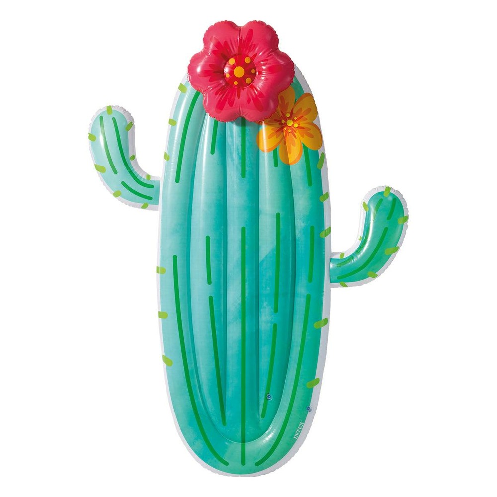 Matelas cactus