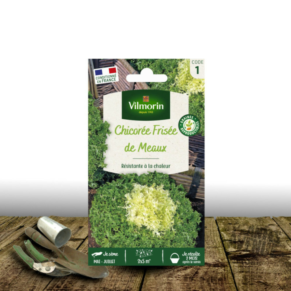 Graines de chicorée frisée de meaux - vilmorin sachet