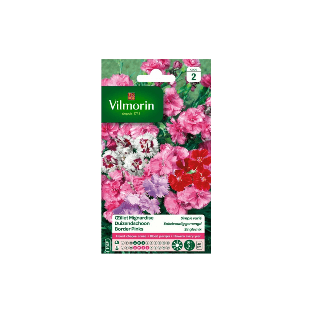 Sachet de graines oeillet mignardise simple varié