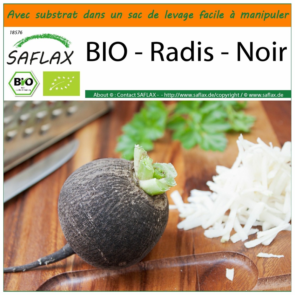 Garden in the bag - bio - radis - noir - 100 graines - raphanus sativus