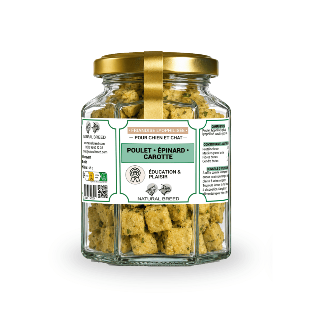 Friandises lyophilisées pour chien et chat – poulet, épinard et carotte – snack naturel