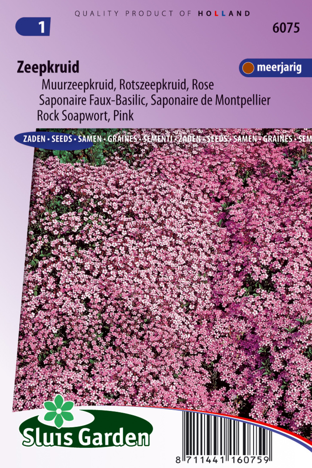 Saponaire faux-basilic / de monpellier rose-pink - graines de fleurs vivaces - ca. 0,3 g (livraison gratuite)