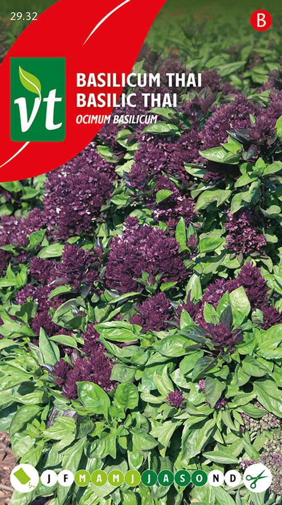 Basilic thai - ca. 0,4 gr (livraison gratuite)