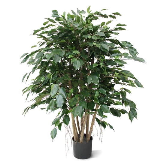 Ficus exotica plante artificielle xl 110 cm