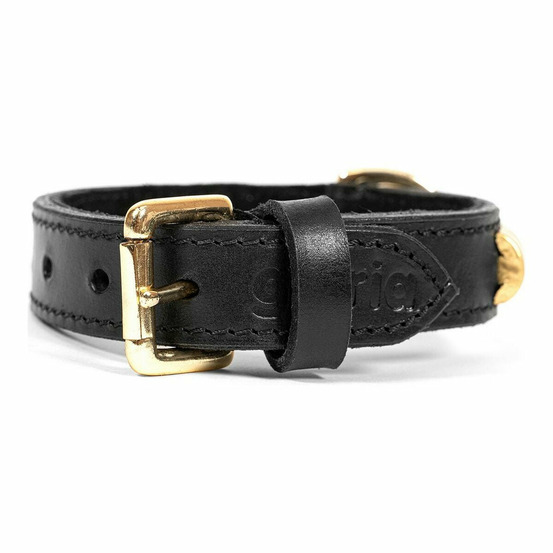 Collier pour chien gloria duna noir doré (50 x 2,5 cm)