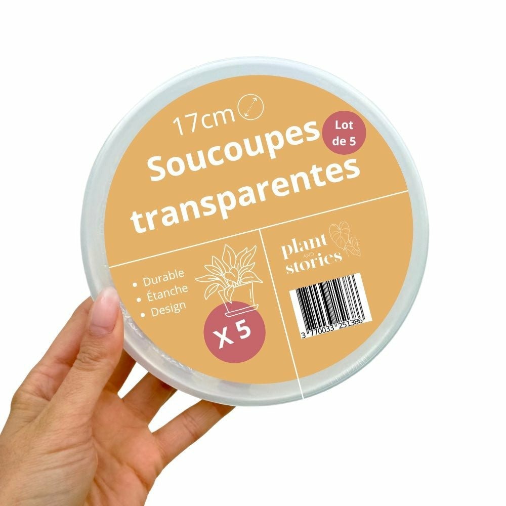 Soucoupes transparentes pour plantes - soucoupes rigides - coupelles pour plantes - pot de 17cm - x5 unités