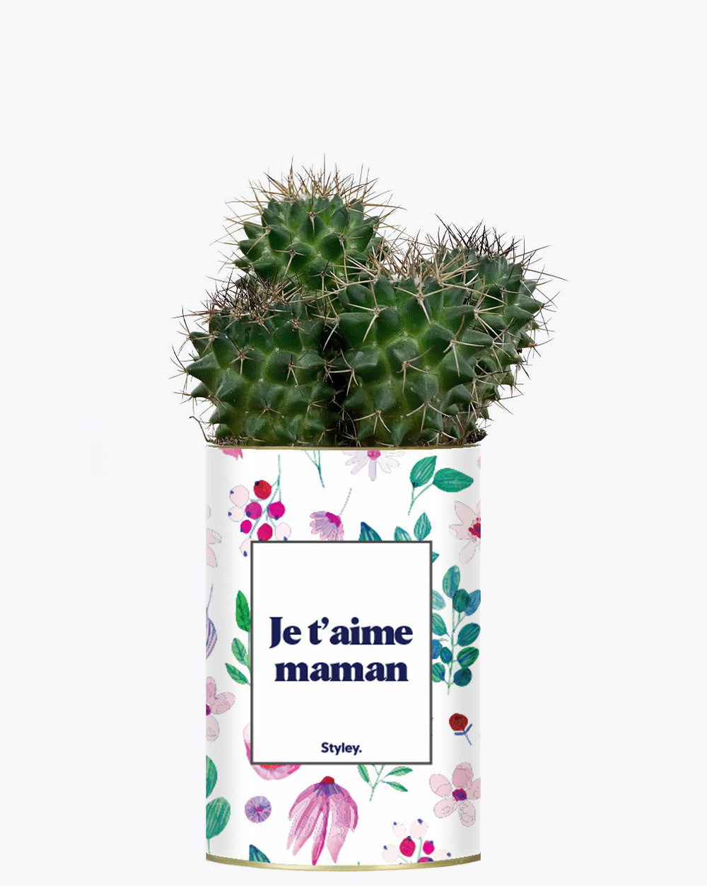 Plante personnalisée - je t'aime maman - cactus