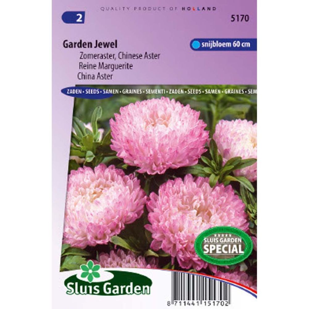 Reine-marguerite 'garden jewel rose' le sachet de 150 graines environ (0,4g)