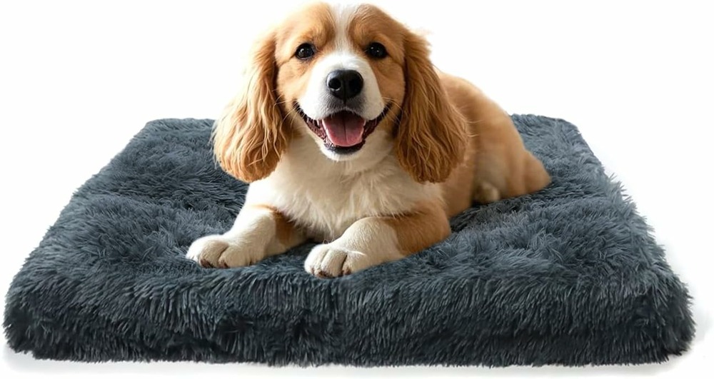 Panier moelleux pour petit chien – déhoussable et lavable 50 x 40 x 5 cm gris foncé