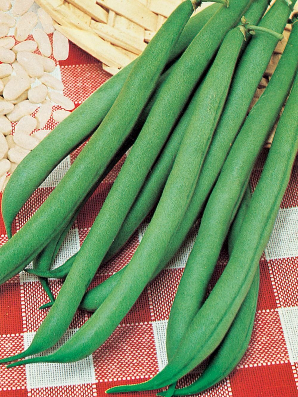 Haricot rames phenomeen - 150 g