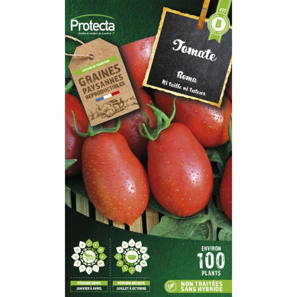 Graines paysannes - tomate roma vf