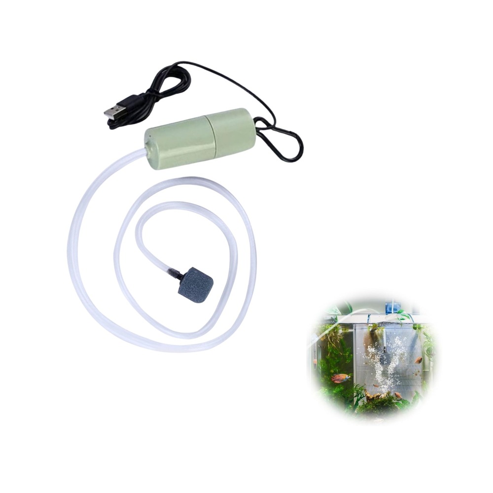Oxygénez votre aquarium économiquement - usb